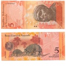, 5  2008 .